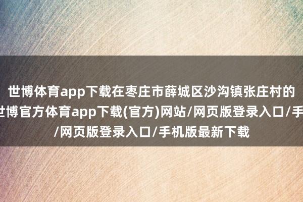 世博体育app下载在枣庄市薛城区沙沟镇张庄村的村中心位置-世博官方体育app下载(官方)网站/网页版登录入口/手机版最新下载