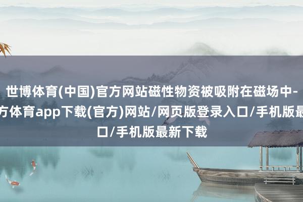 世博体育(中国)官方网站磁性物资被吸附在磁场中-世博官方体育app下载(官方)网站/网页版登录入口/手机版最新下载