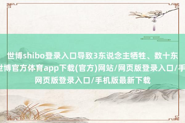 世博shibo登录入口导致3东说念主牺牲、数十东说念主受伤-世博官方体育app下载(官方)网站/网页版登录入口/手机版最新下载