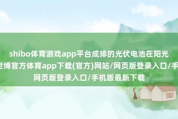 shibo体育游戏app平台成排的光伏电池在阳光下闪闪发亮-世博官方体育app下载(官方)网站/网页版登录入口/手机版最新下载