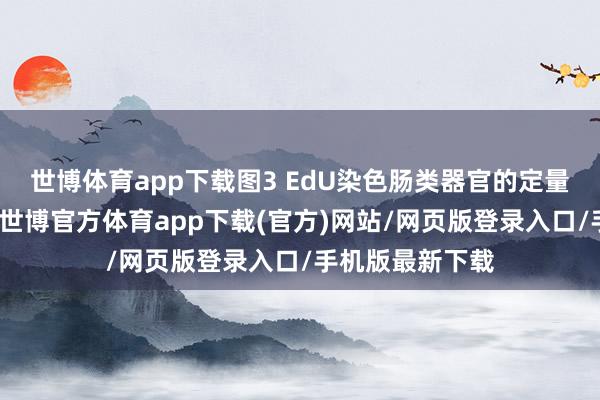 世博体育app下载图3 EdU染色肠类器官的定量图像分析限定-世博官方体育app下载(官方)网站/网页版登录入口/手机版最新下载