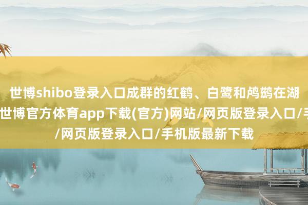 世博shibo登录入口成群的红鹤、白鹭和鸬鹚在湖面遨游或立足-世博官方体育app下载(官方)网站/网页版登录入口/手机版最新下载