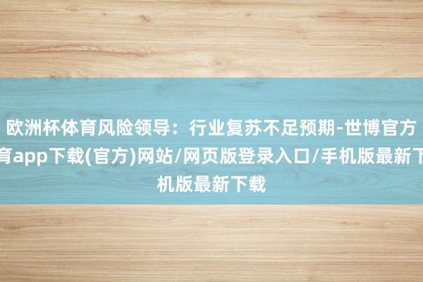 欧洲杯体育风险领导:行业复苏不足预期-世博官方体育app下载(官方)网站/网页版登录入口/手机版最新下载