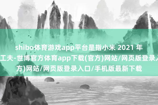 shibo体育游戏app平台是指小米 2021 年发布的底层影像架构工夫-世博官方体育app下载(官方)网站/网页版登录入口/手机版最新下载