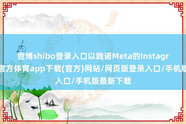 世博shibo登录入口以践诺Meta的Instagram-世博官方体育app下载(官方)网站/网页版登录入口/手机版最新下载