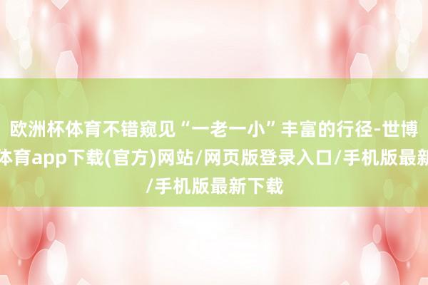 欧洲杯体育不错窥见“一老一小”丰富的行径-世博官方体育app下载(官方)网站/网页版登录入口/手机版最新下载