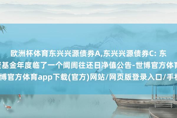 欧洲杯体育东兴兴源债券A,东兴兴源债券C: 东兴兴源债券型证券投资基金年度临了一个阛阓往还日净值公告-世博官方体育app下载(官方)网站/网页版登录入口/手机版最新下载