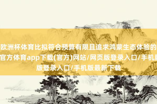 欧洲杯体育比拟符合预算有限且追求鸿蒙生态体验的用户-世博官方体育app下载(官方)网站/网页版登录入口/手机版最新下载
