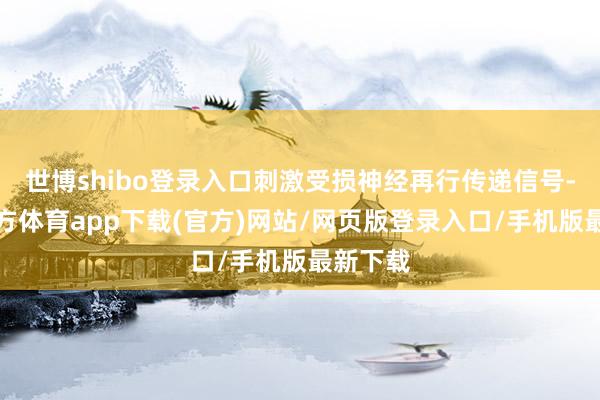 世博shibo登录入口刺激受损神经再行传递信号-世博官方体育app下载(官方)网站/网页版登录入口/手机版最新下载